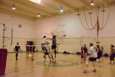 DSC_1793 (Large).JPG